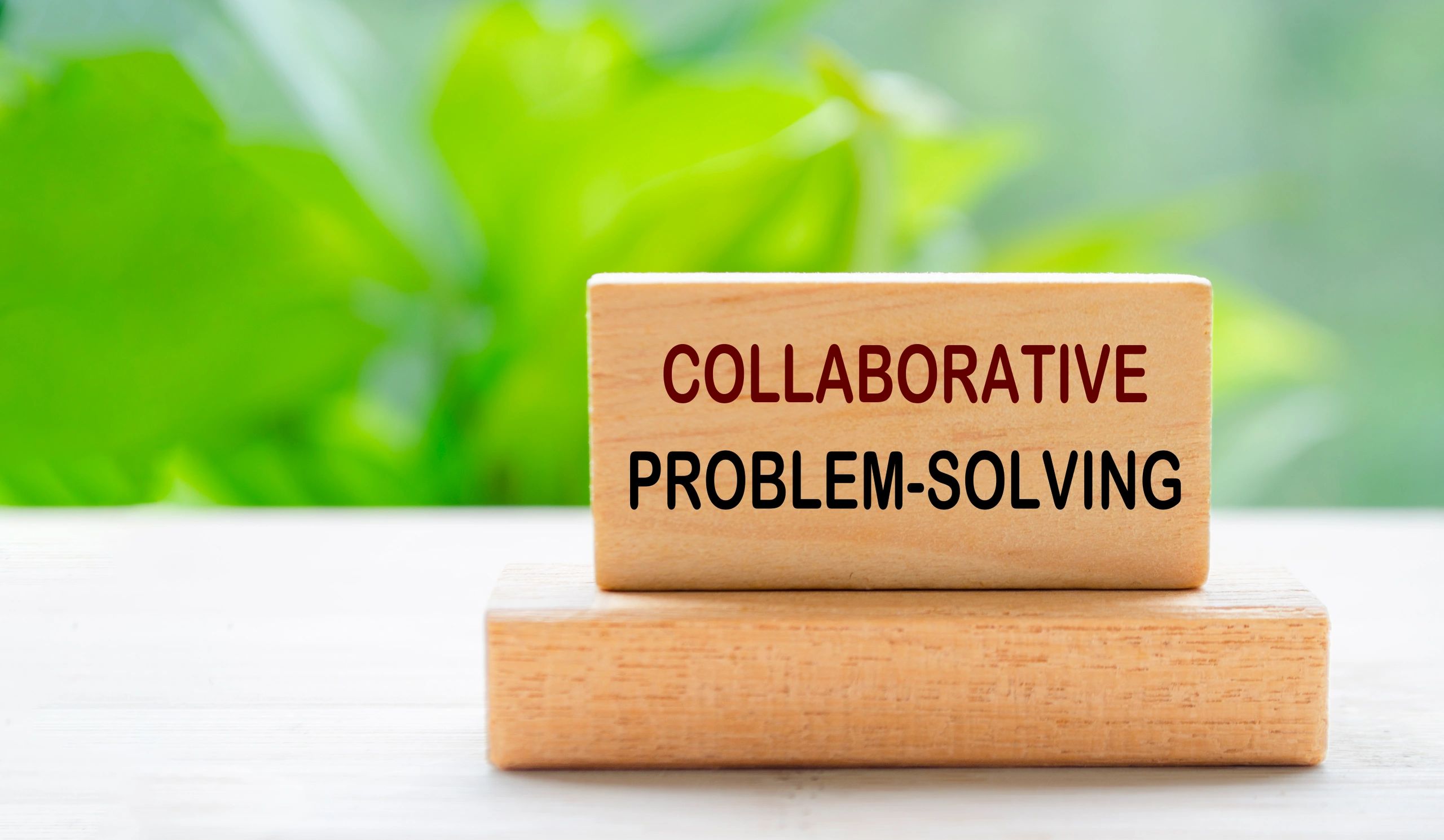 agile business team training